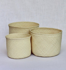 Palm Basket