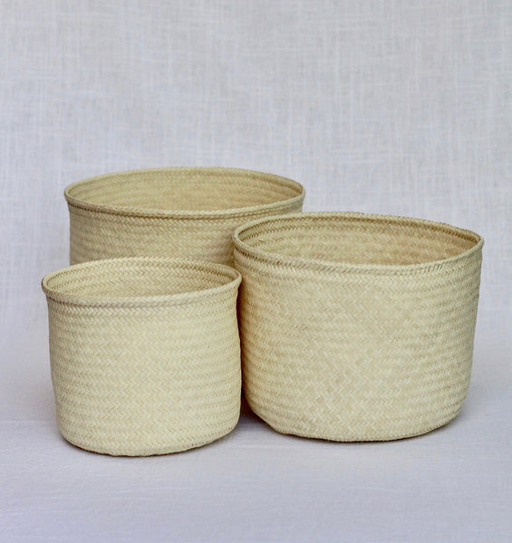 Palm Basket