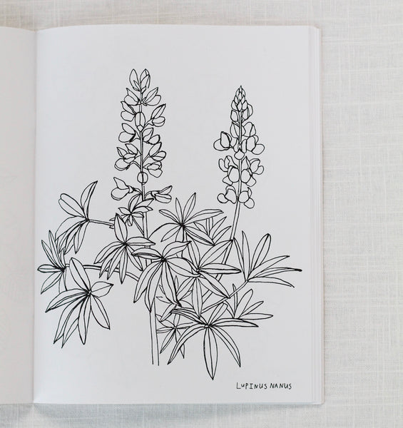 Buds Along The Path Coloring Book