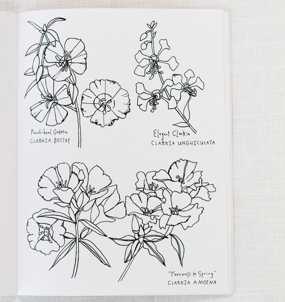 Buds Along The Path Coloring Book
