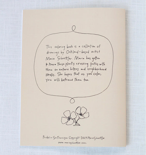 Buds Along The Path Coloring Book