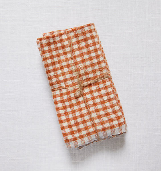 Set of 4 Two-Tone Gingham Napkins