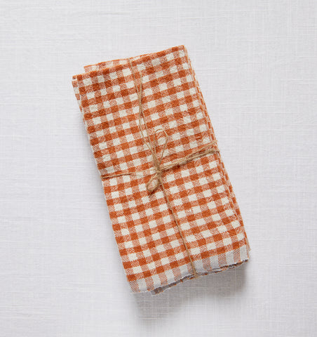 Set of 4 Two-Tone Gingham Napkins