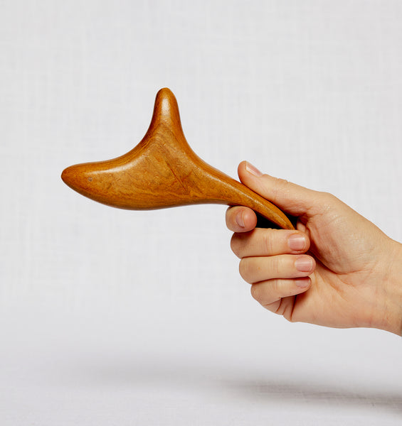 Bird Body Tool