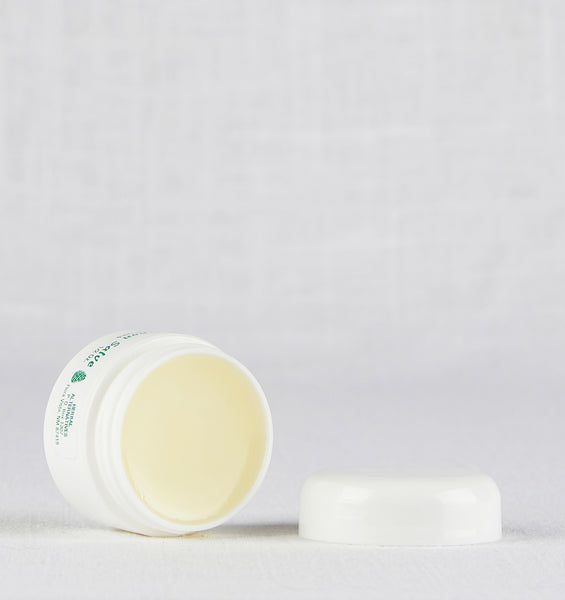 Piñon Osha Root Salve