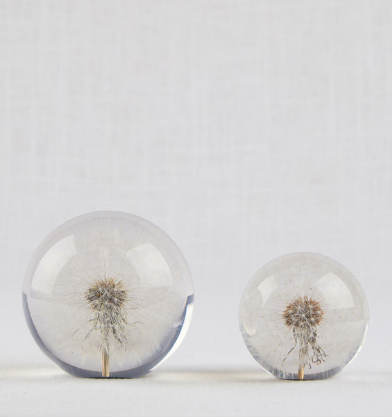 Dandelion Paperweight