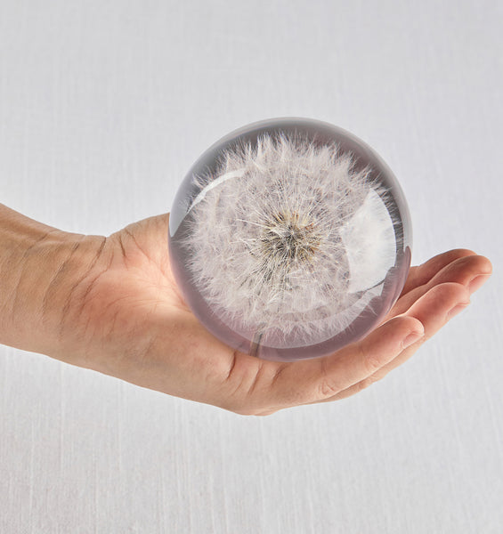 Dandelion Paperweight