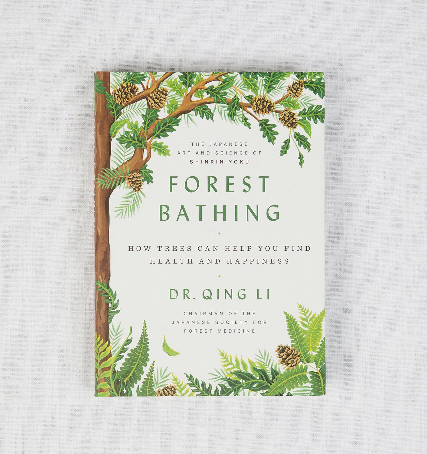 Forest Bathing