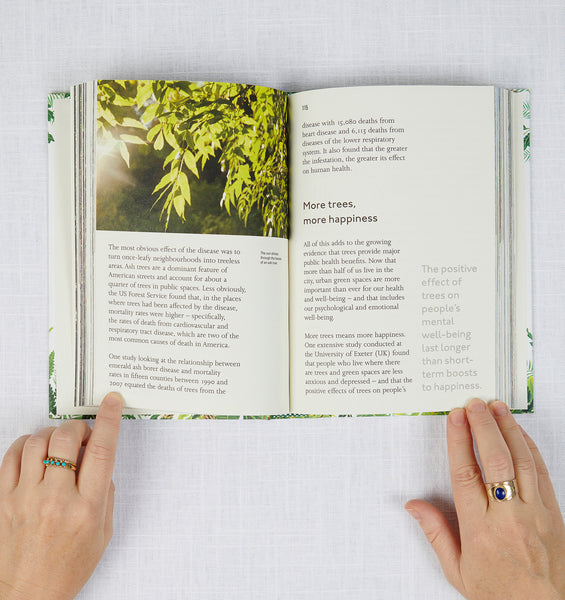 Forest Bathing